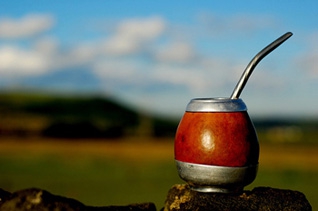 Национальный праздник чая мате в Аргентине