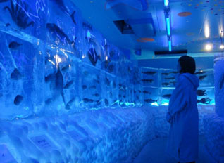 В Японии можно увидеть ледяной аквариум