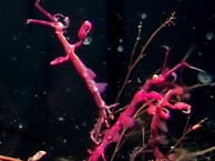 Белое море,  10 серия