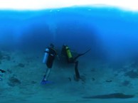 VR Experience. Diving in Seychelles