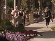 Рынок Сарона - особое искушение в городском стиле