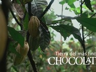 Te gusta el chocolate ecuatoriano